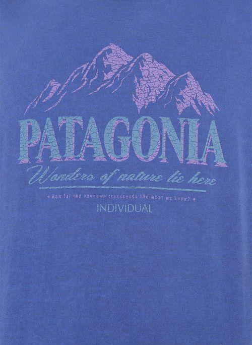 Camiseta Slim Patagônia Retrô Masculina Individual