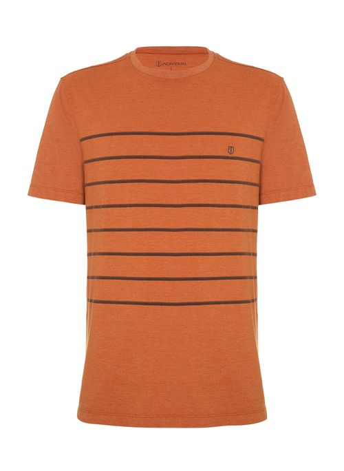 Camiseta Regular Listrada Masculina Individual