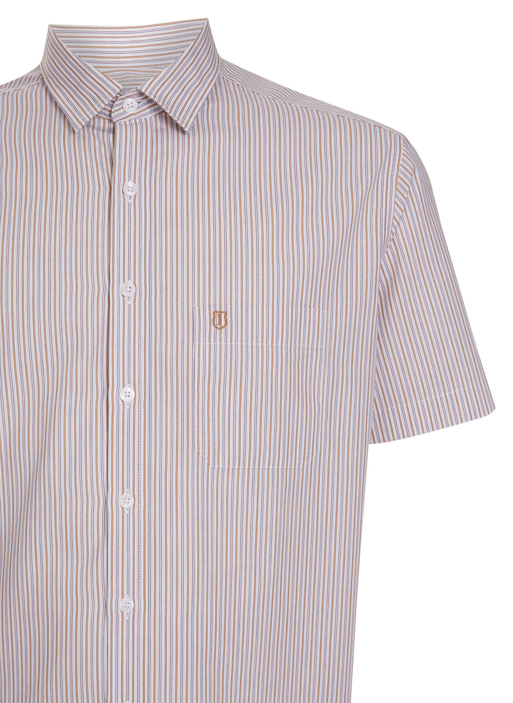 68062762_38_2-CAMISA-ROBERTO