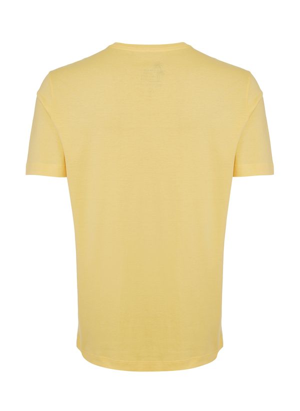 42546537_16_3-TSHIRT-MC-ESTAMPADA