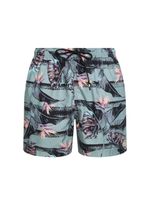 06012523_23_1-SHORTS-BOXER-BS-L1-FOLHAGEM