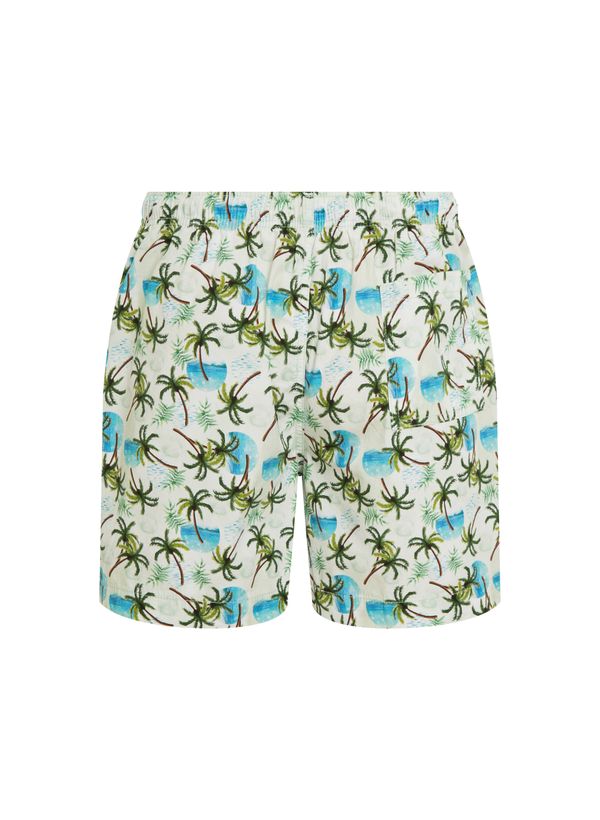 06012528_25_2-SHORTS-BOXER-BS-L1-COQUEIROS